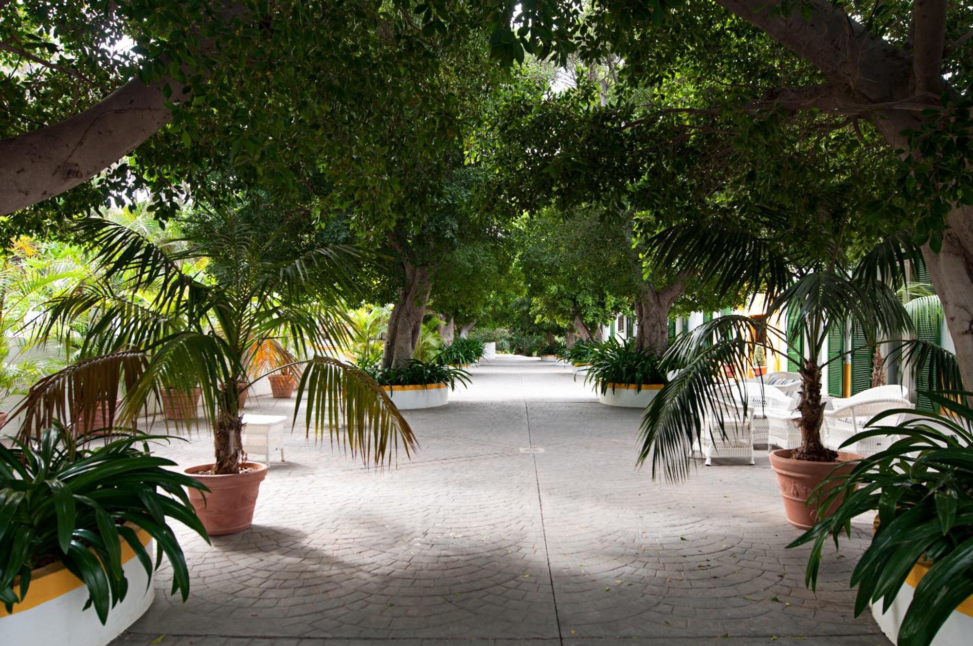 Hotel Cortijo San Ignacio El Cortijo  Exteriér fotografie